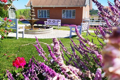 Rota da Lavanda se consolida como destaque turístico dos Campos Gerais; conheça as opções